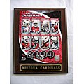 Arizona Cardinals Team Picture Plaque