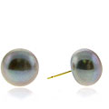 14k Gold Grey Freshwater Pearl Stud Earrings (10-11 mm)