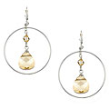 Charming Life Sterling Silver Champagne Crystal Earrings