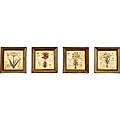 Hand-painted Botanical Garden Plates (Set of 4)