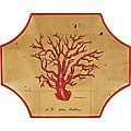 Coral Reef Plate