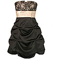 Jump Apparel Women's Black/ Nude Party Dress