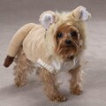 Casual Canine Lil' Lion Dog Costume