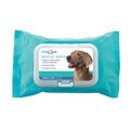 ClearQuest 100-count Dental Wipes
