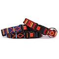 Mojave Dog 18- to 26-inch Collar and 6-foot Lead Set