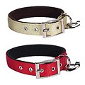 Fleece-lined Collar and 4-foot Lead Set