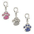 Aria Chrome Paw Print Charm