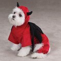 Casual Canine Devil Dog Costume