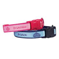 Royalty 6-foot Dog Leads
