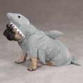 Zack and Zoey Land Shark Pet Costume