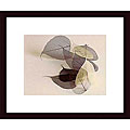 Durwood Zedd 'Chablis' Wood Framed Art Print