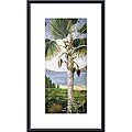 Deborah Thompson 'Fan Palm' Metal Framed Art Print