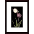S. Rose 'Grace III' Wood Framed Art Print