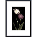 S. Rose 'Grace III' Wood Framed Art Print