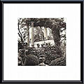 Alan Blaustein 'Jardin del Ronda' Metal Framed Art Print