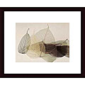 Durwood Zedd 'Sauvignon Blanc' Wood Framed Print