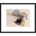 Durwood Zedd 'Sauvignon Blanc' Metal Framed Print