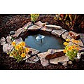 Pond in a Box