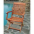 Folding Armchair