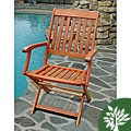 Folding Armchair