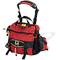 Heritage Red Day Recycled Lumbar Pack