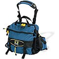 Lotus Blue Day Recycled Lumbar Pack