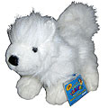 Webkinz Samoyed and Cards Set