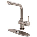 Brienza Brushed Nickel Modern Kitchen Pull-out Faucet