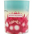 Matthew Williamson Women's 7-ounce Scented Candle