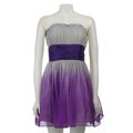 Betsey Johnson Women's Eve Ombre Teen Vogue Dress