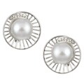 Sterling Silver Freshwater Pearl Shell Earrings (12-12.5 mm)