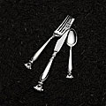 Wallace Romance of the Sea Sterling Silver 46-piece Flatware Set