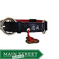 Beau Nouveau Chinoise Beau Pet Collar