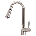 Brienza Brushed Nickel Multifunction Pull-out Spray Faucet