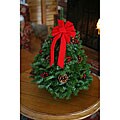 Classic Fresh-cut Maine Balsam 18-inch Tabletop Tree