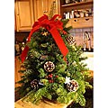 Northwoods 18-inch Fresh-cut Maine Balsam Tabletop Tree