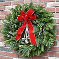 Silverbell 24-inch Maine Balsam Wreath