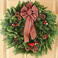 Varigated Stewart 24-inch Fresh-cut Maine Balsam Wreath