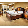 14-inch Select-A-Firmness Memory Foam Queen Size Mattress (Pack of 2)
