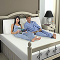 Bed Size Memory Foam Bed Wedge (Pack of 2)