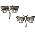 Dragonfly Candle Sconces (Set of 2)