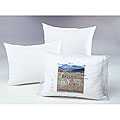 Hotel Compartment Pillow (Case of 10)