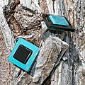 Fused Glass Black Border Ring (Chile)