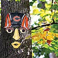 Chicago Bears Forest Face