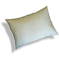 Feather and Down 15 x 22 Decorative Pillow Inserts (Pack of 6)
