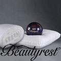 Croscill 230 Thread Count Pocketed Coil Pillow