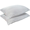 Croscill Cotton Blue Stripe Pillows (Set of 2)