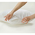 Bed Bug/ Dust Mite/ Allergy Control 21x37-inch King Pillow Protector