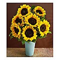 Deluxe Sunflower Bouquet (10 Stems)