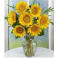 Sunflower Radiance Bouquet